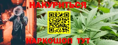 Альфа ПВП Будённовск
