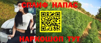 Альфа ПВП Будённовск
